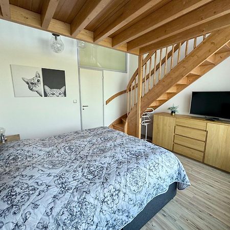 Miky Apartman Klinovec Garden Loučná pod Klínovcem Exterior foto